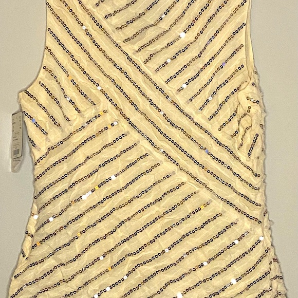 Doncaster Sequins NWT Tank Size Medium 100% Silk - Picture 2 of 4